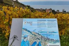 08-Sur-le-retour