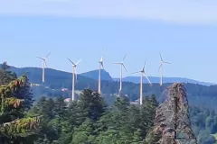 20260707-02